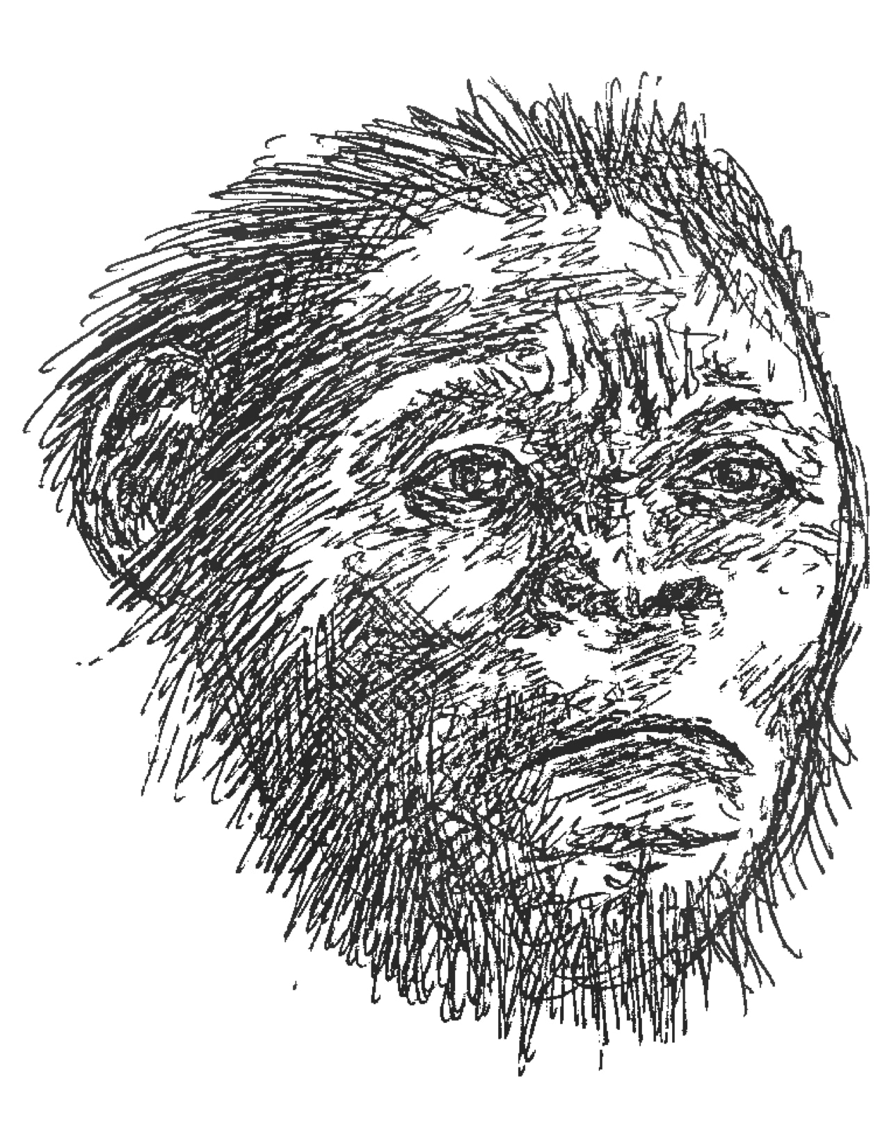 Homo naledi: The Newest Member of Our Family